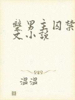 双男主囚禁生子文小说