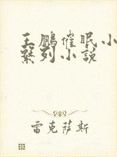 王鹏催眠小说系系列小说