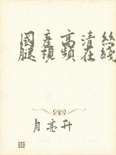 国产高清丝袜美腿视频在线观看