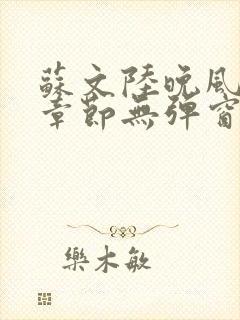 苏文陆晚风最新章节无弹窗笔趣阁