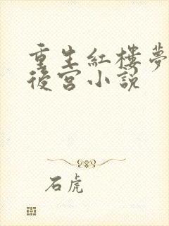 重生红楼梦风流后宫小说