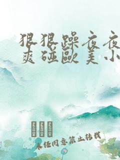 狠狠躁夜夜躁人爽碰欧美小说