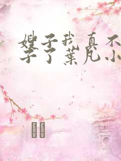 嫂子我真不是傻子了叶凡小说完本