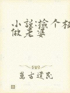 小说:捡个校花做老婆