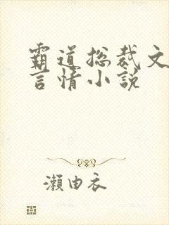 霸道总裁文现代言情小说