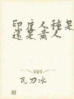 印度人种是白人还是黄人