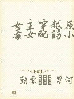 女主穿越原耽恶毒女配的小说