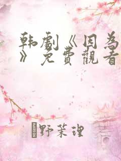 韩剧《因为是你》免费观看