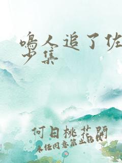 鸣人追了佐助多少集