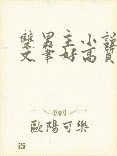 双男主小说推荐文笔好高质量