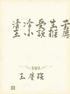 清冷受生子双男主小说推荐