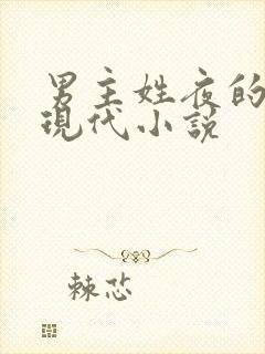 男主姓夜的所有现代小说