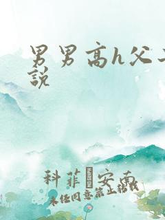 男男高h父子小说