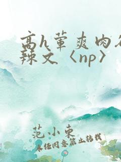 高h荤爽肉欲文辣文〈np〉