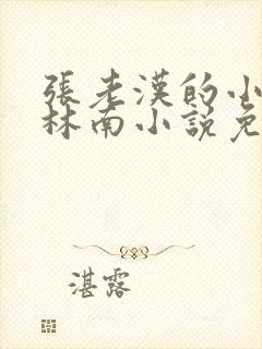 张老汉的小媳妇林南小说免费阅读