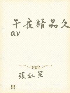 午夜精品久久久av