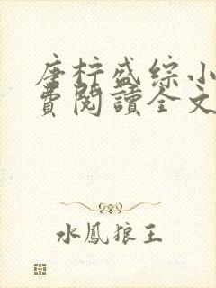 唐柠盛综小说免费阅读全文最新章节