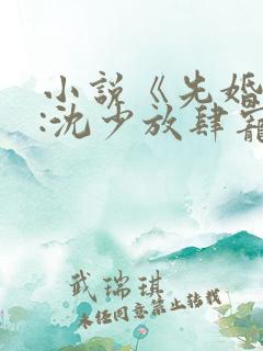 小说《先婚后爱:沈少放肆宠》