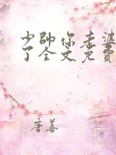 少帅你老婆又跑了全文免费读