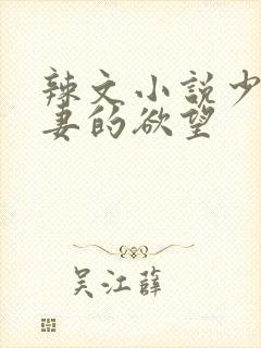 辣文小说少妇人妻的欲望