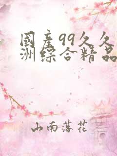 国产99久久亚洲综合精品西