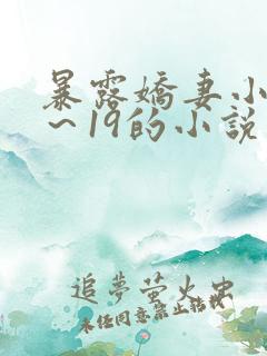 暴露娇妻小婷1～19的小说