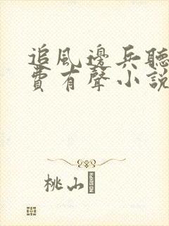 追风边兵听书免费有声小说