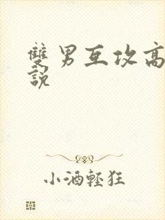 双男互攻高h小说