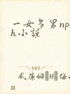 一女多男np高h小说