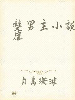 双男主小说推荐虐