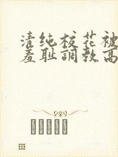 清纯校花被民工羞耻调教高h