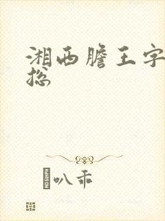 湘西胆王字谜汇总