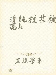 清纯校花被调教高h