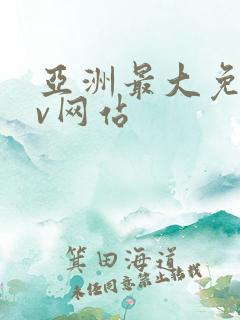 亚洲最大免费av网站