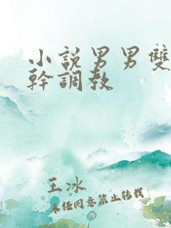 小说男男双性高干调教