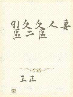 91久久人妻一区二区