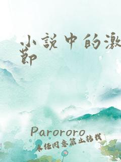 小说中的激情章节