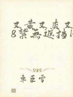 又黄又爽又色18禁无遮挡网站