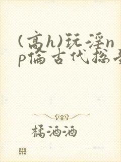 (高h)玩淫np伦古代总受