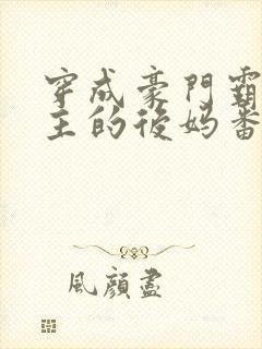 穿成豪门霸总男主的后妈番外