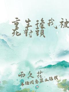 重生后我被渣男死对头