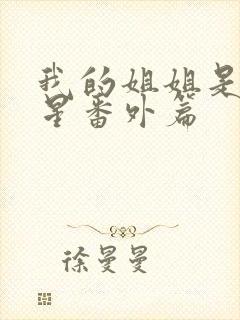 我的姐姐是大明星番外篇