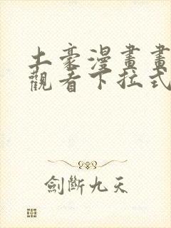 土豪漫画画免费观看下拉式土豪漫画布丁