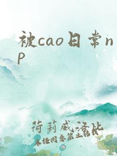 被cao日常np