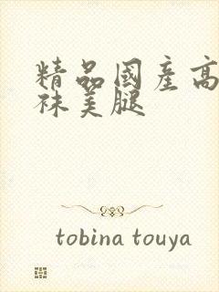 精品国产高跟丝袜美腿