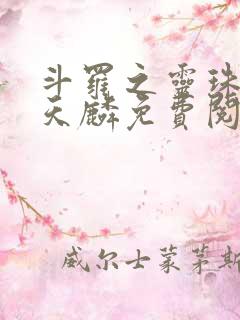 斗罗之灵珠神剑天麟免费阅读小说