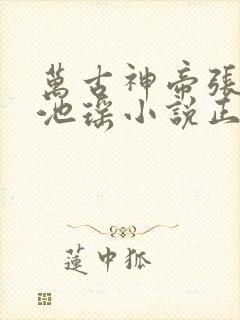 万古神帝张若尘池瑶小说正版全文下载