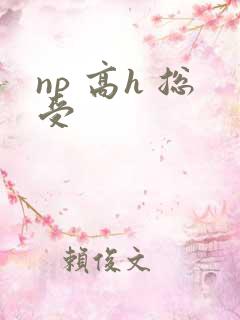 np 高h 总受