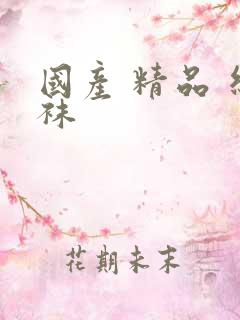 国产 精品 丝袜