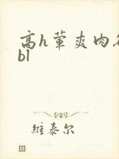 高h荤爽肉欲文bl